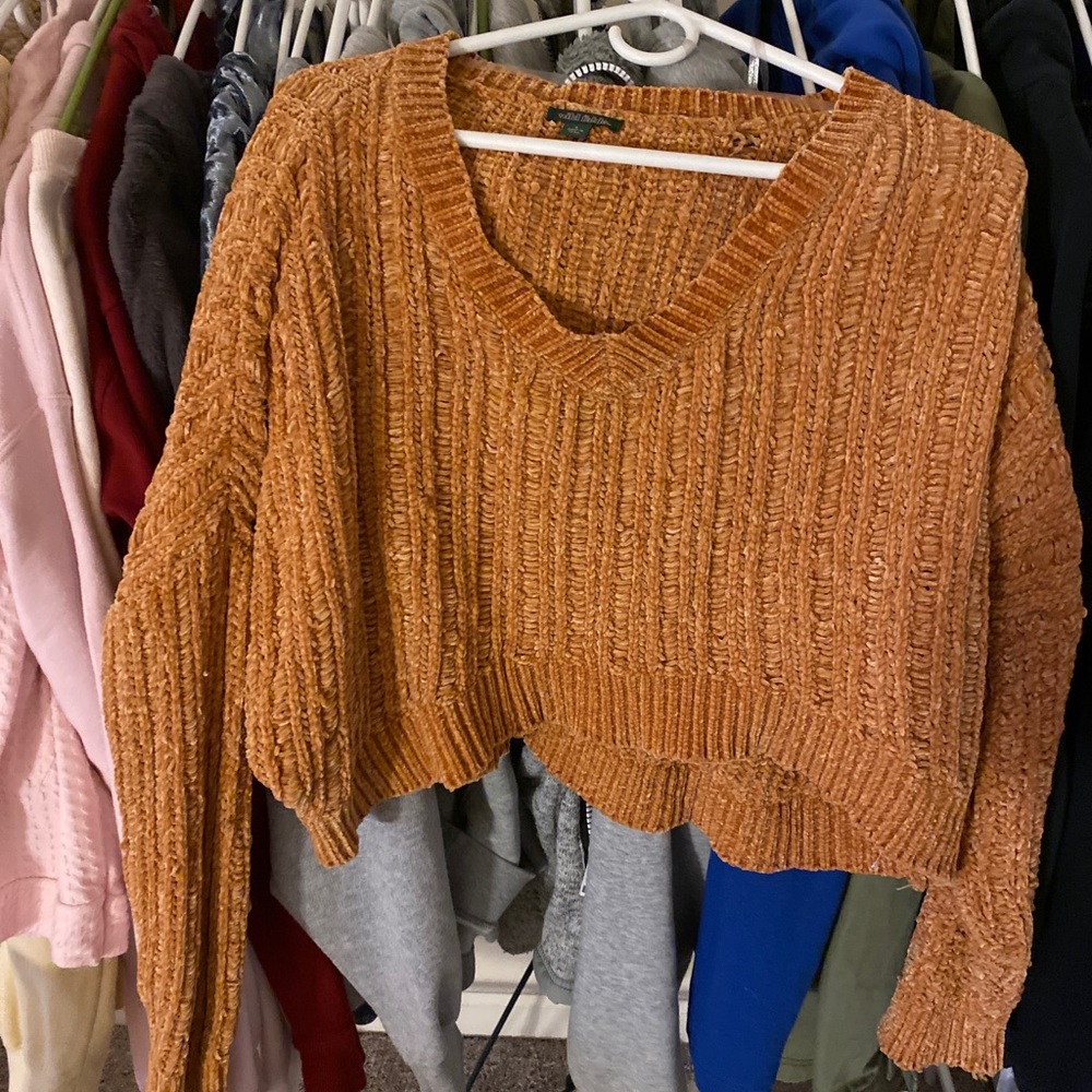 golden sweater